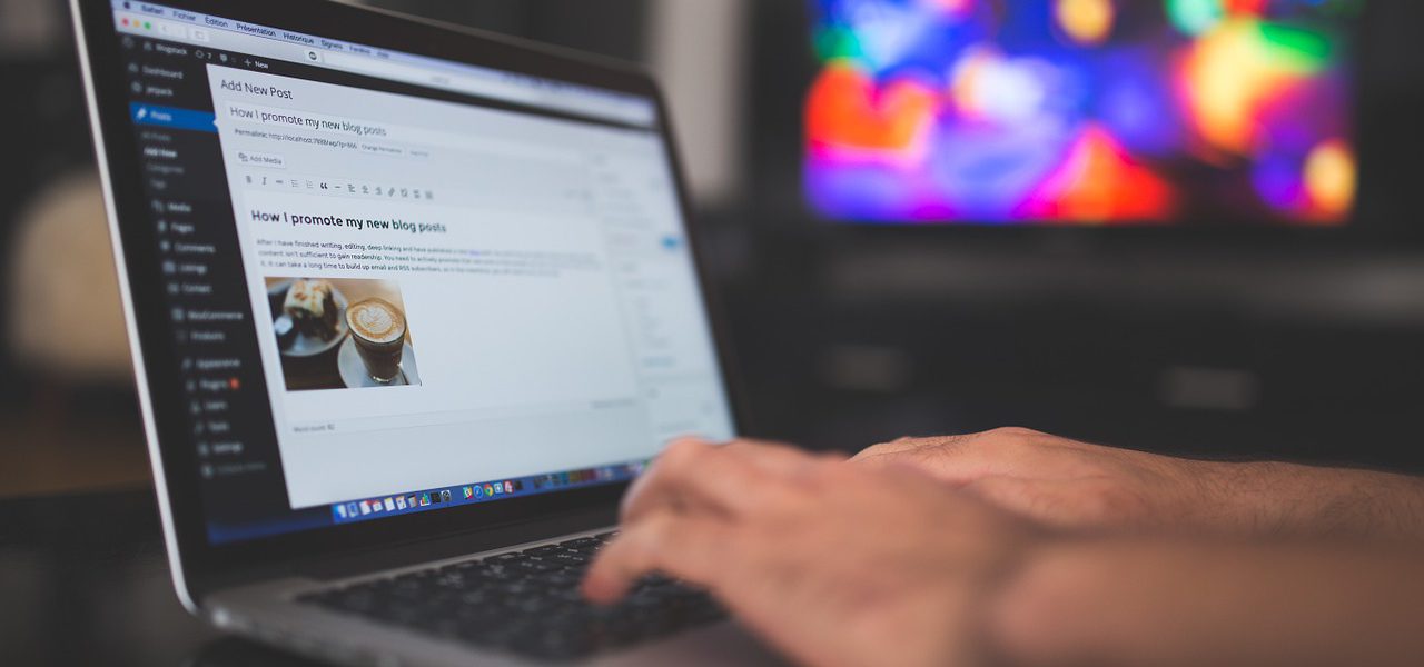 praca WordPress Developera